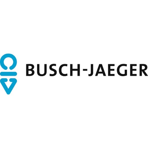 Busch-Jaeger Steckdoseneinsatz SCHUKO 2CKA002018A1588 20 EUKBSL-915 Klappdeckel+SchlossSafety+