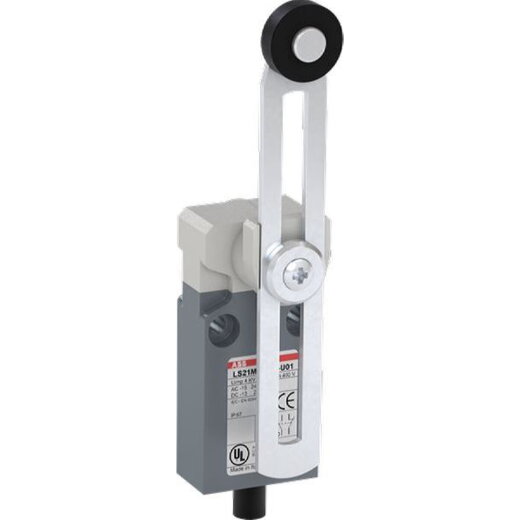ABB Stotz-Kontakt Kompakt-Positionsschalter LS21M51B11-U01 IP67 1SBV015651R2601