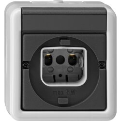 Gira Lichtsignal 016130 mit Bajonettverschluss WG AP grau