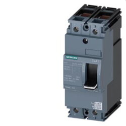 Siemens Leistungsschalter 3VA1 25kA 2polig TM210 IN100A...