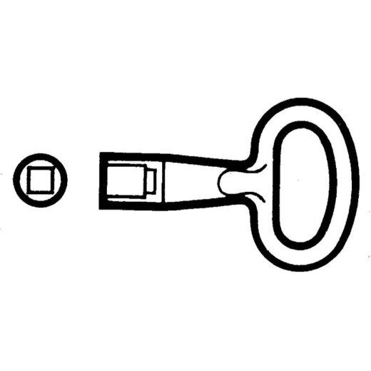 Schneider Electric Schlosseinsatz vierkant 8mm f. Spacial CRN Thalassa PLM NSYTC8CRN