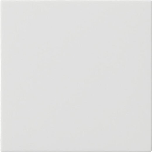 Gira Bedienaufsatz 536027 S3000 System 55 reinweiss 536027