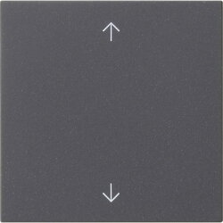 Gira Bedienaufsatz 536128 S3000 System 55 anthrazit 536128