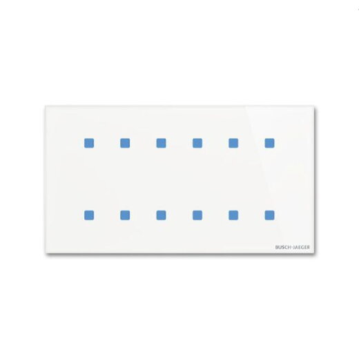 Busch-Jaeger Touch-Bedienelement TB/U12.8.11-CG 12fach