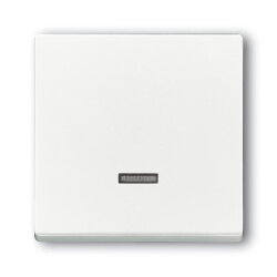 Busch-Jaeger 6543-84-101 Bedienelement