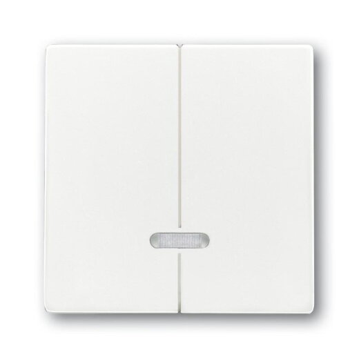 Busch-Jaeger 6545-84 Bedienelement