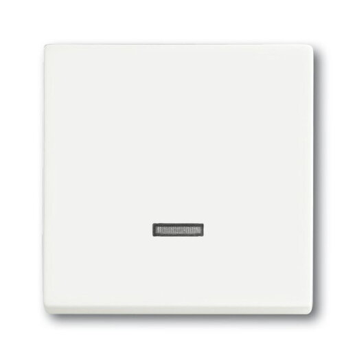 Busch-Jaeger 6543-884-101 Bedienelement