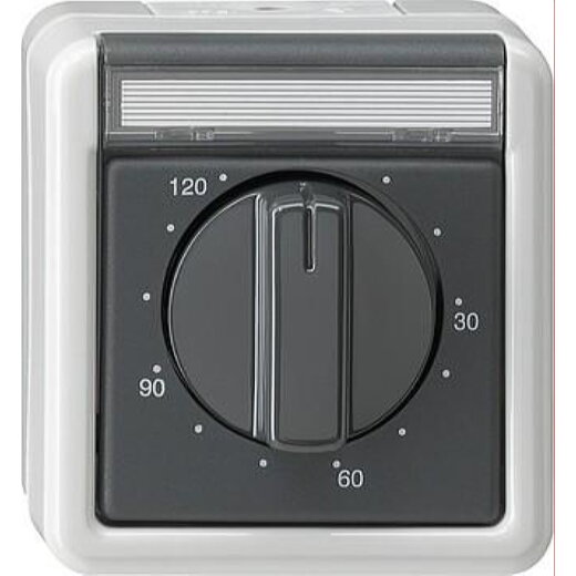 Gira Zeitschalter 032130 120 min WG AP grau