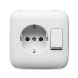 Busch-Jaeger 4310/6 EUJ-214 Kombination