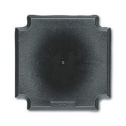 Busch-Jaeger 1710 Sockel