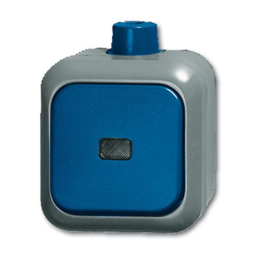 Busch-Jaeger AP-Kontrollschalter, 2601/6 SKWDI