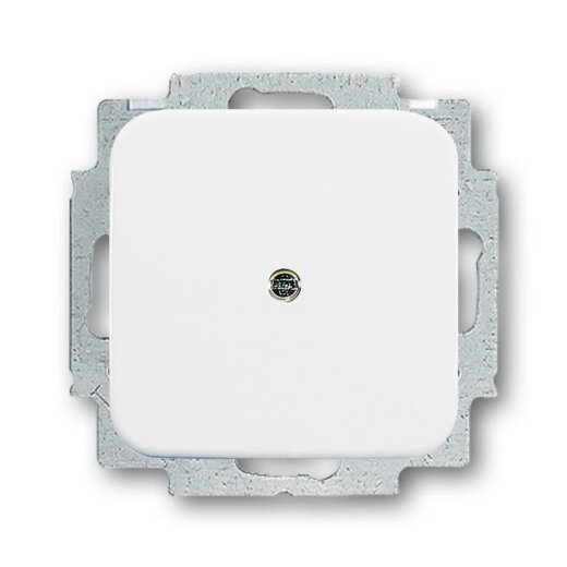 Busch-Jaeger 2538-214 alpinweiss Blindabdeckung