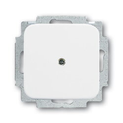 Busch-Jaeger 2538-214 alpinweiss Blindabdeckung