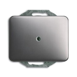 Busch-Jaeger 1742-20 Nachlaufschalter