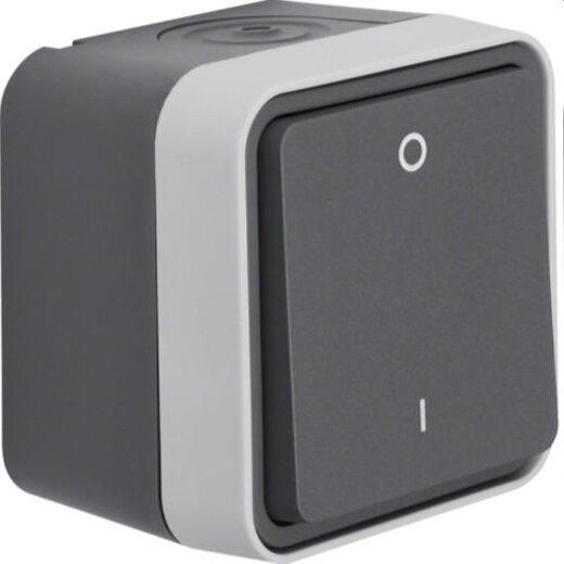 Berker Ausschalter M330723505 2polig Symbol 0 und 1 lichtgrau