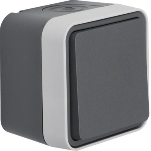 Berker Kreuzschalter M330773505 lichtgrau