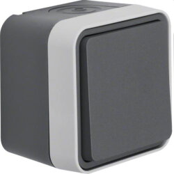 Berker Kreuzschalter M330773505 lichtgrau