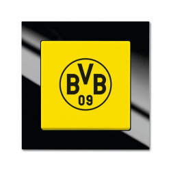 Busch-Jaeger 2000/6 UJ/01 BVB Schalter