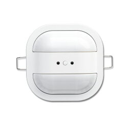 Busch-Jaeger 6131/30-24 Normal WS Präsenzmelder