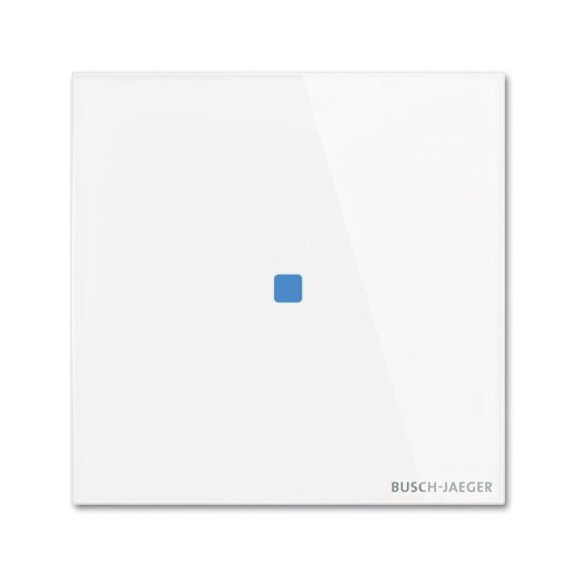 Busch-Jaeger Touch-Bedienelement TB/U1.1.11-CG 1fach