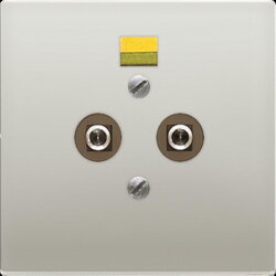 Jung Potentialausgleich-Steckdose, Serie LS, Edelstahl...