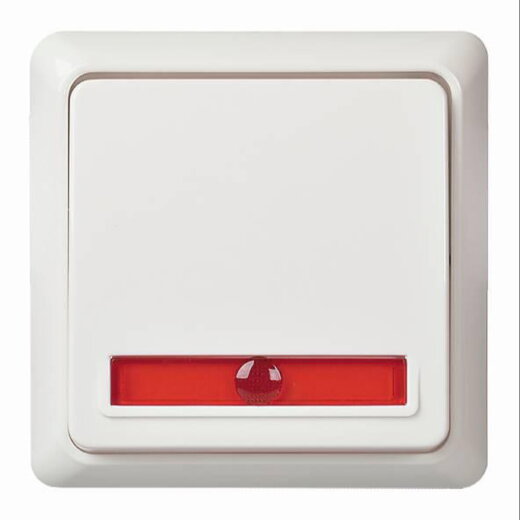 ELSO Kontrollwechselschalter 501624 10A beleuchtet RENOVIERUNG rw