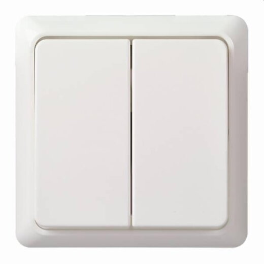 ELSO Serienschalter 501504 10A komplett RENOVIERUNG rw