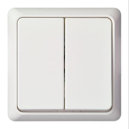 ELSO UP-Serienschalter 241504 10A RENOVIERUNG komplett rw