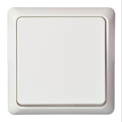 ELSO UP-Universalschalter 241604 10A RENOVIERUNG komplett rw