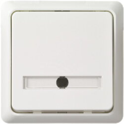 ELSO Taster 506324 42V/1A AP flach RENOVIERUNG rw