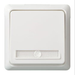 ELSO Taster 502124 10A bel. RENOVIERUNG reinweiß