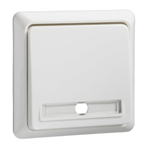 ELSO Taster 502144 10A beleuchtet RENOVIERUNG rw