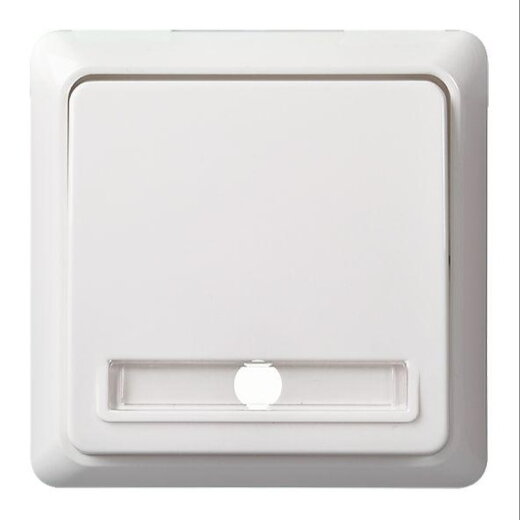 ELSO Taster 512134 10A komplett RENOVIERUNG rw