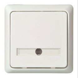 ELSO Taster 506134 42V/1A UP bel. RENOVIERUNG rw