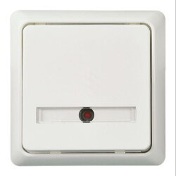 ELSO Tastfläche 506374 42V/1A AP flach bel. 2xLED rw