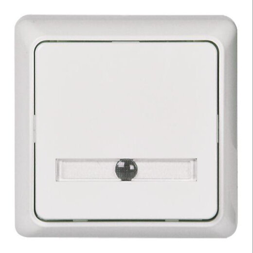 ELSO Taster ELG506244 42V/1A AP bel. RENOVIERUNG pw