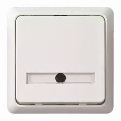 ELSO Taster 506124 42V/1A Unterputz RENOVIERUNG rw