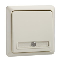 ELSO Taster 512110 10A beleucht RENOVIERUNG pw