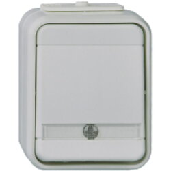 ELSO Kontrollwechselschalter 441649 10A AquaTop...