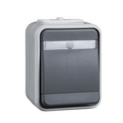 ELSO Universalschalter 441629 10A AquaTop licht/basaltgrau