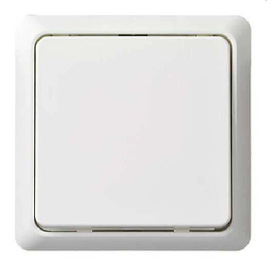 ELSO Taster 506300 42V/1A AP flach RENOVIERUNG pw