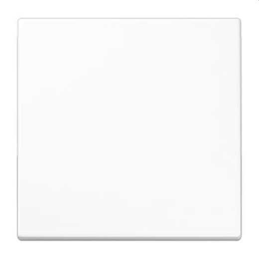 Jung LB-Management Taster 1fach, Duroplast, Serie LS, alpinweiß LS1700WW