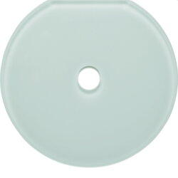 Berker Glasendplatte Schalter Serie Glas polarweiss 109409