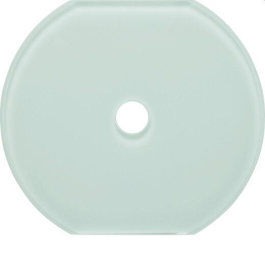 Berker Glasmittelplatte Schalter Serie Glas polarweiss 109509