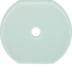 Berker Glasmittelplatte Schalter Serie Glas polarweiss...