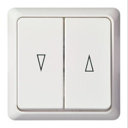 ELSO UP-Jalousietaster 242804 10A RENOVIERUNG komplett rw