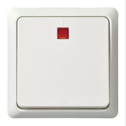 ELSO UP-Kontrollausschalter 251214 2p. bel. 16A RENOVIERUNG rw