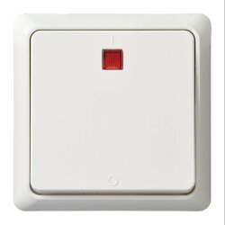 ELSO UP-Kontrollausschalter 251214 2p. bel. 16A...