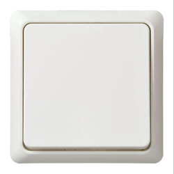 ELSO UP-Kreuzschalter 241704 10A RENOVIERUNG komplett rw