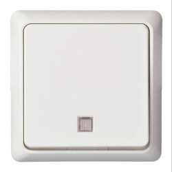 ELSO UP-Taster 252134 beleuchtet 10A RENOVIERUNG pw